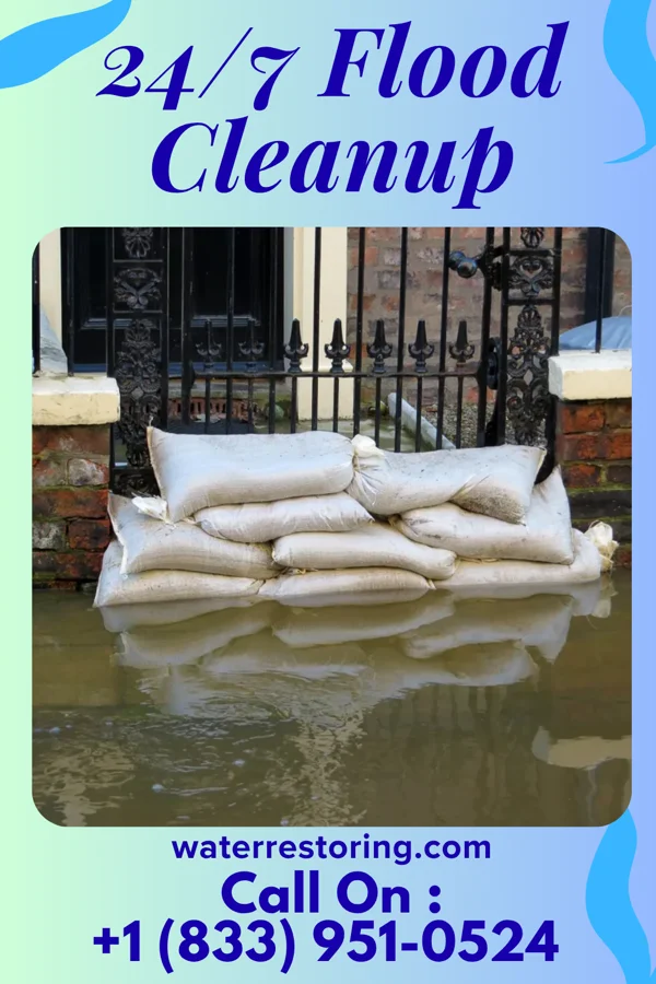 24/7 Flood Cleanup in Dimondale, MI